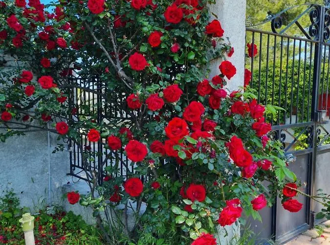 Tropical Francavilla al Mare