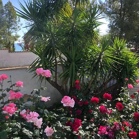 Tropical Bed & Breakfast 3*