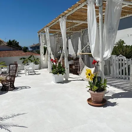 Tropical 3*