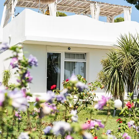 Tropical Bed & Breakfast