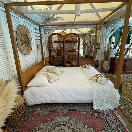 Tropical Bed & Breakfast