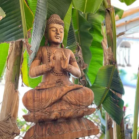 Bed & Breakfast Tropical 3*