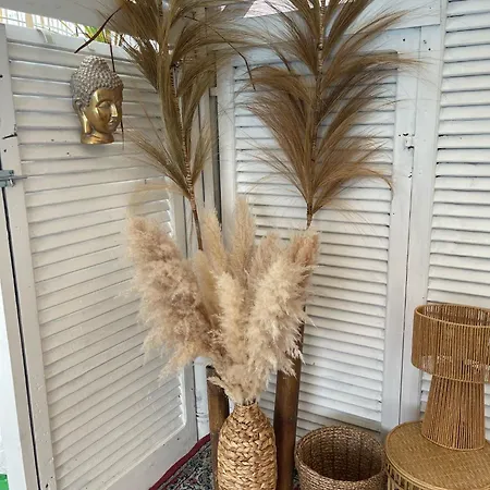 Nocleg ze śniadaniem Tropical