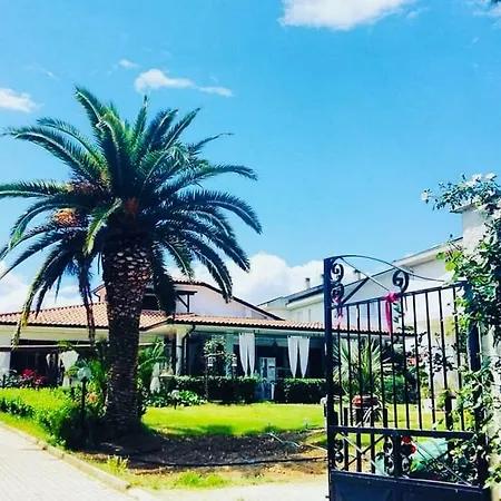 Tropical Bed & Breakfast