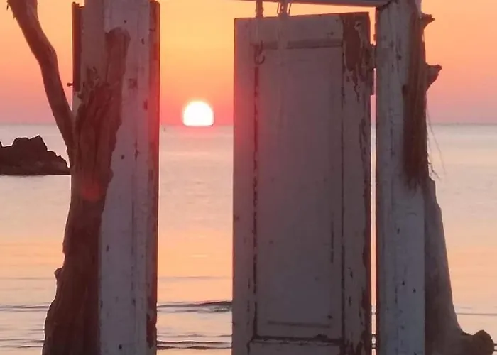 Couette-café Tropical