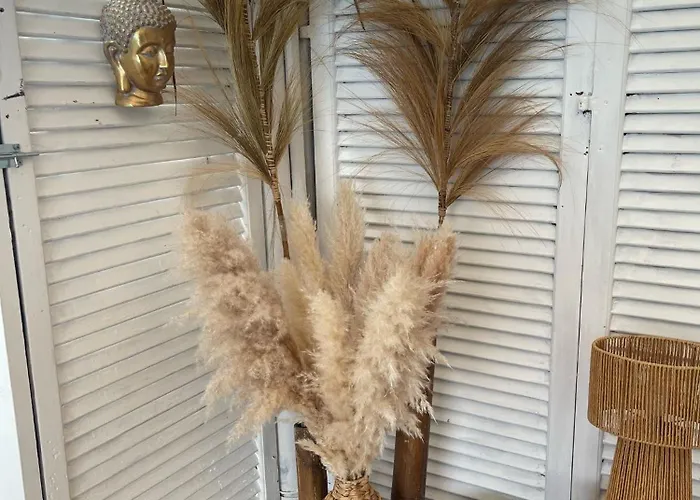 Couette-café Tropical